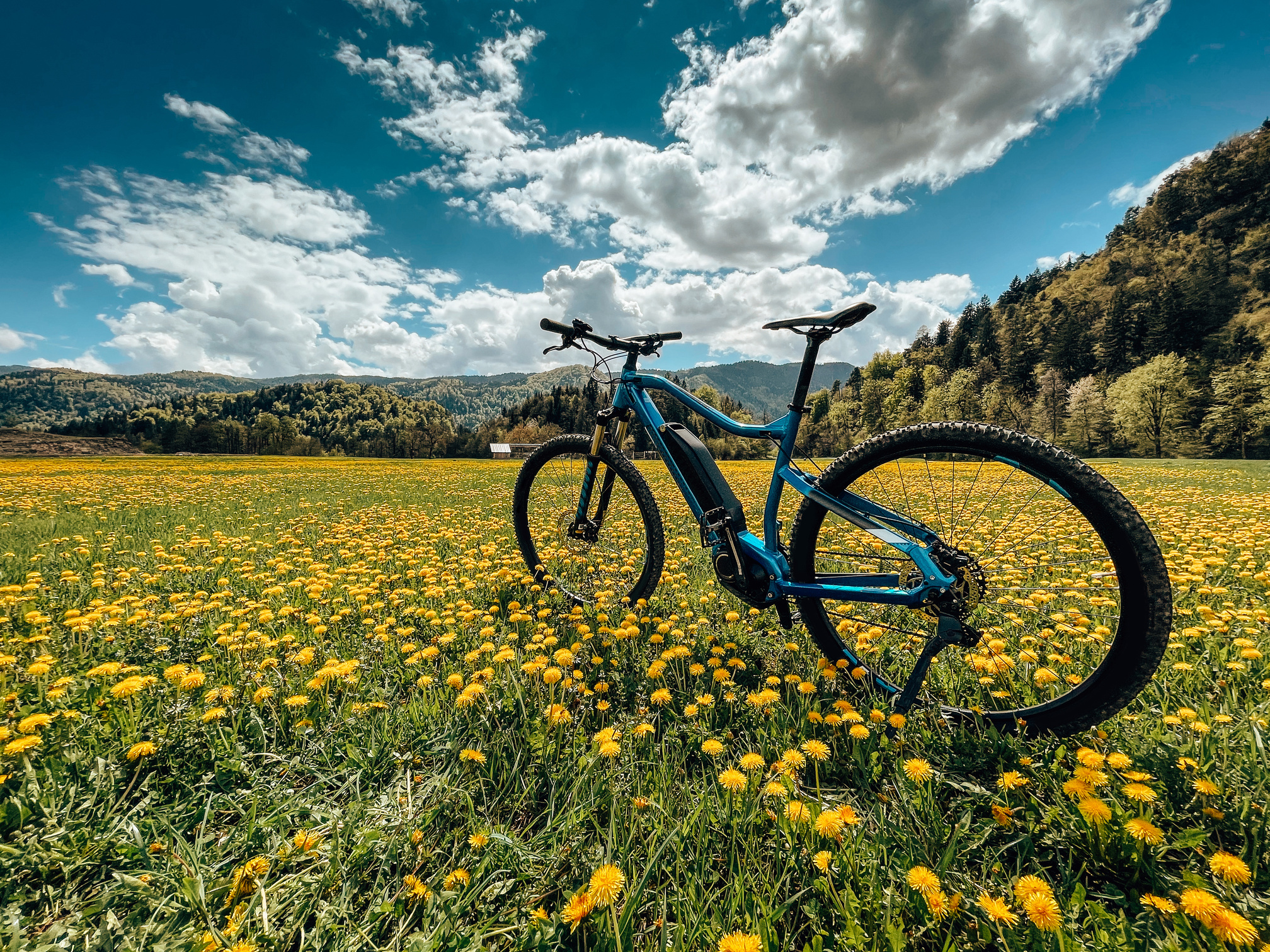 ebike on the countryside